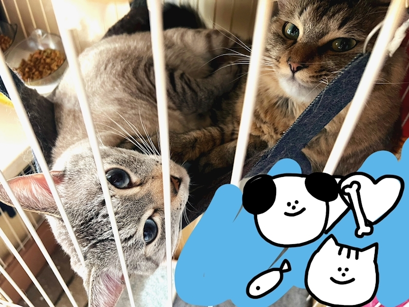 杉谷 ちなみ