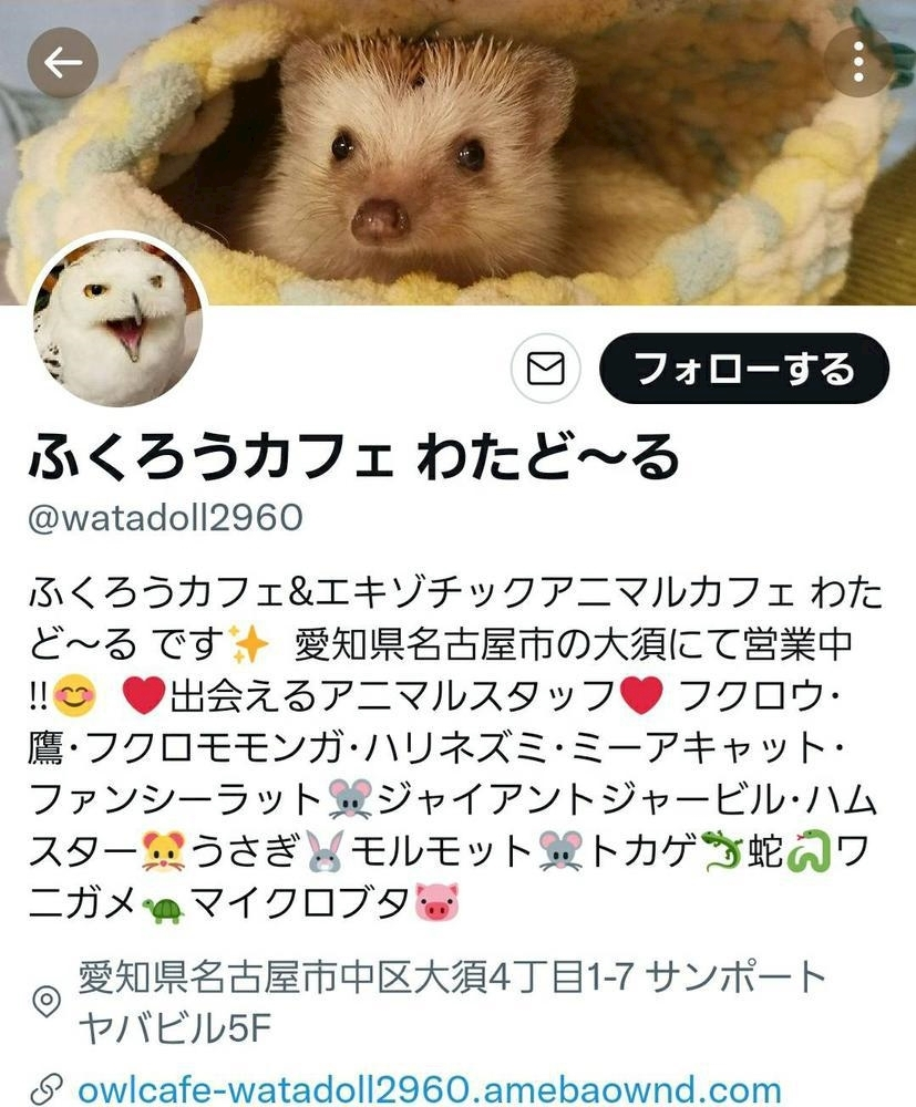 エミ （スタッフ）