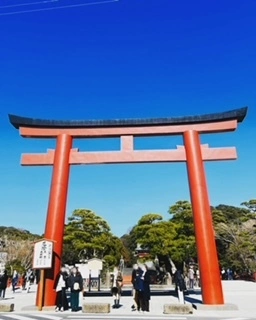 ゆかり