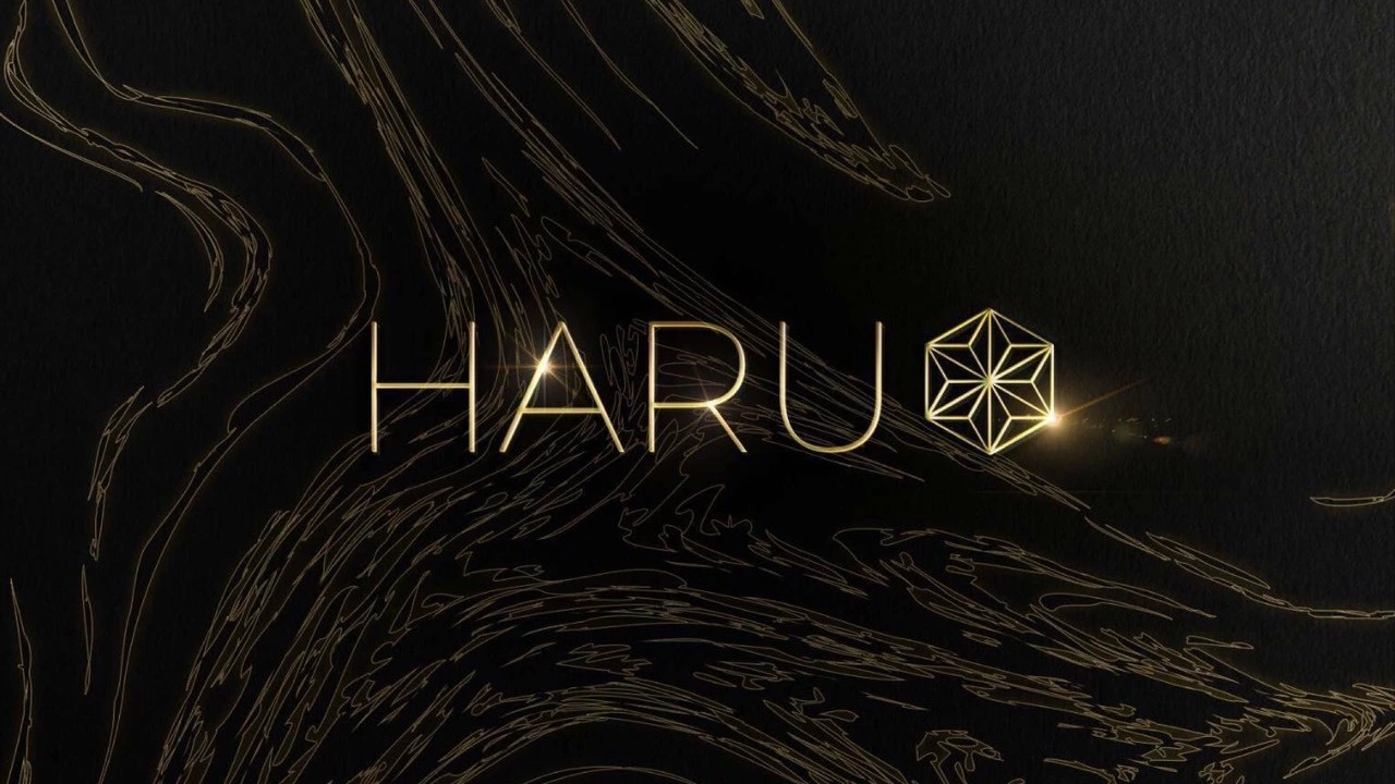 HARU(ハル) 新宿区歌舞伎町 ガールズバー