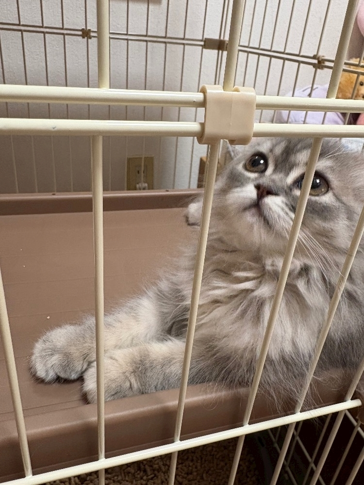 ミヅキ