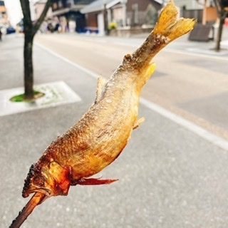 京 さゆみ