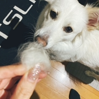 京 さゆみ