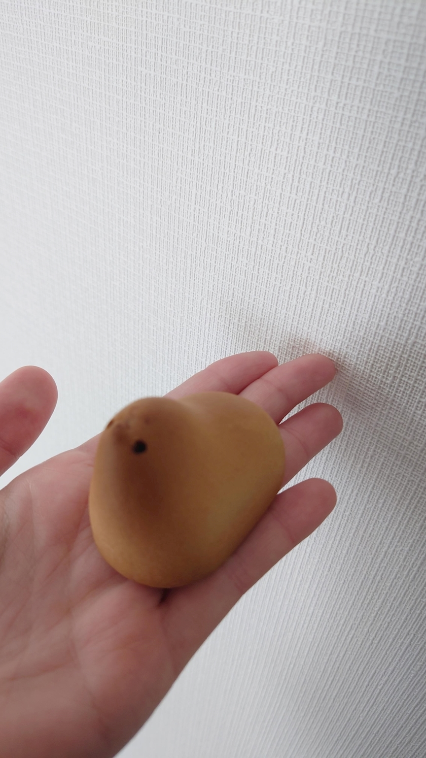 のはら かすみ