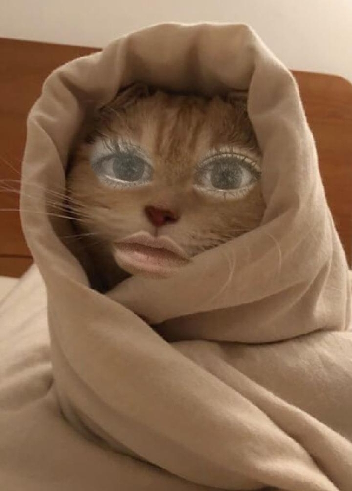 あかね