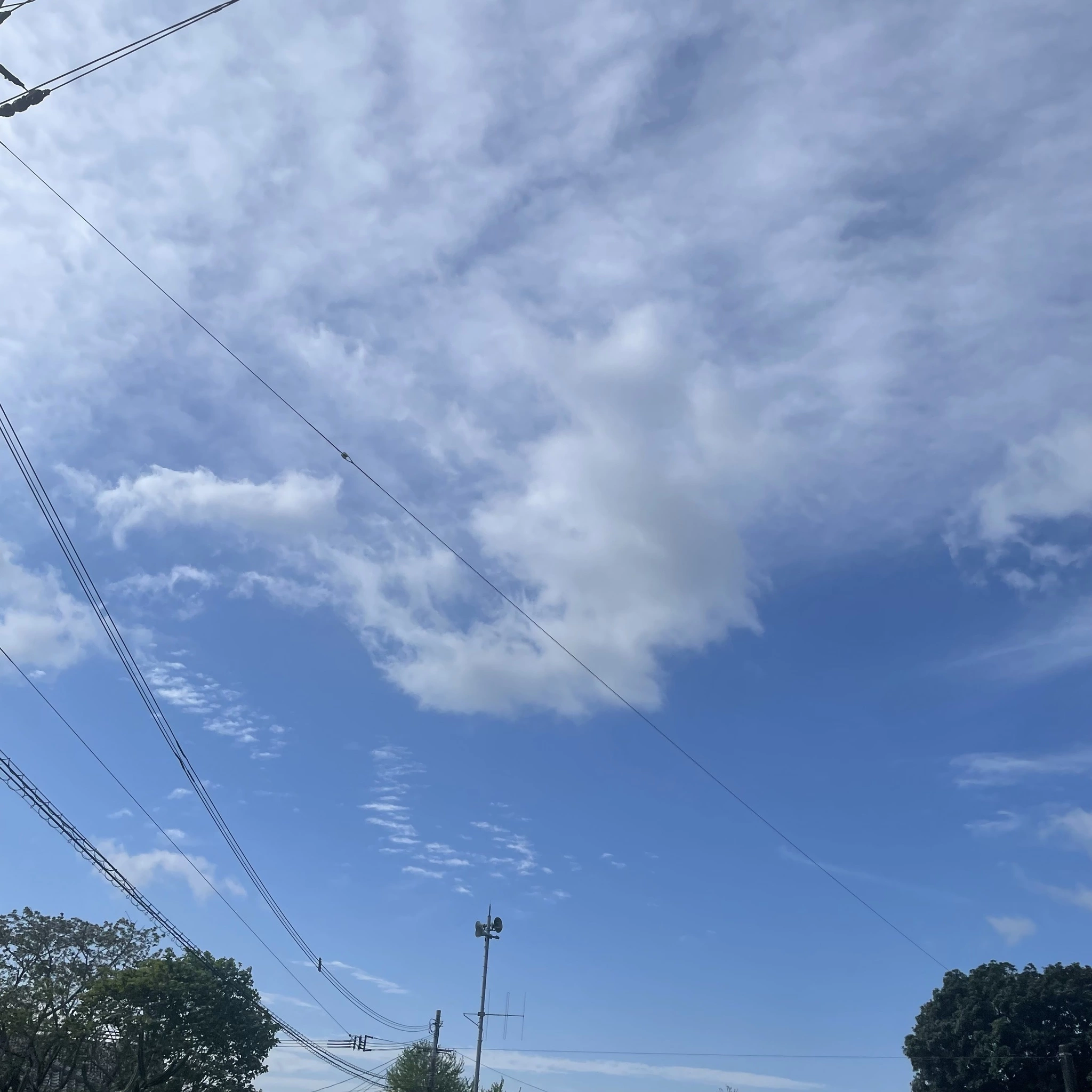 ちゃお