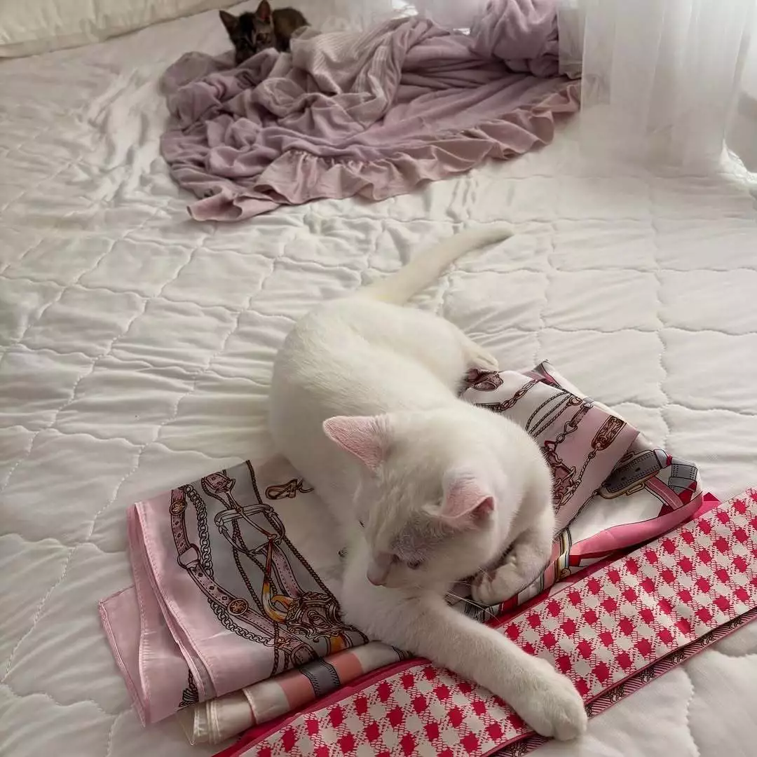 きらり