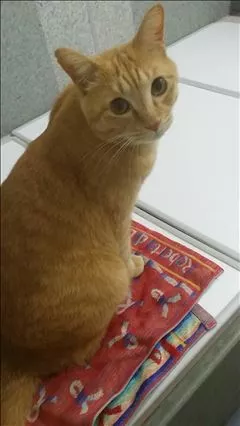なつき