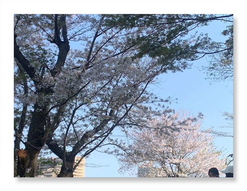 はづき