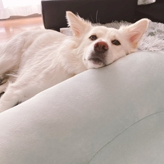 京 さゆみ