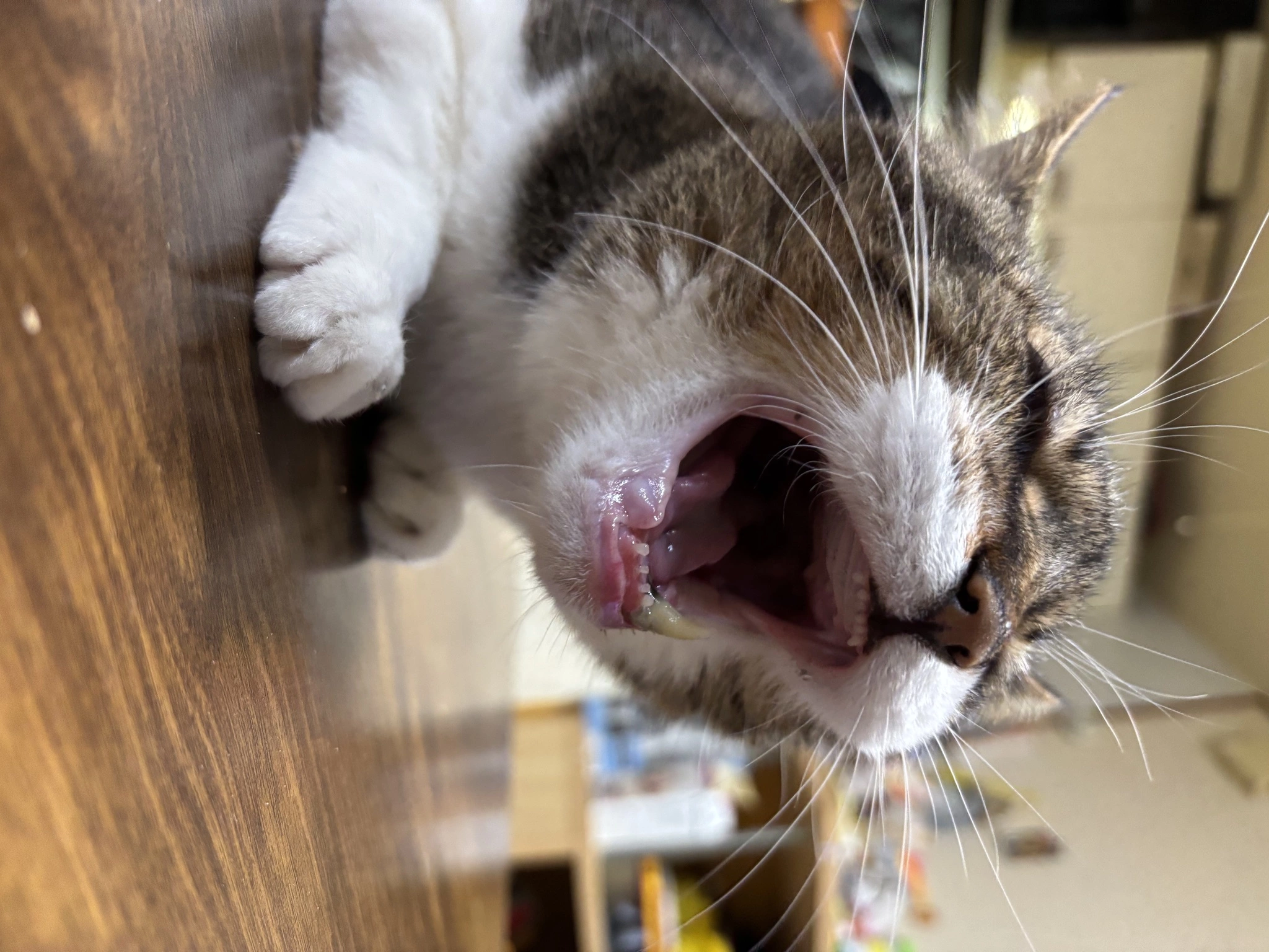 りか