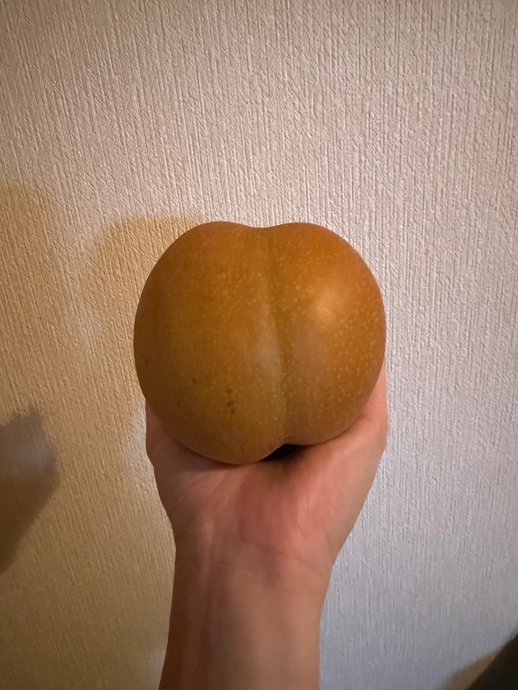 さり