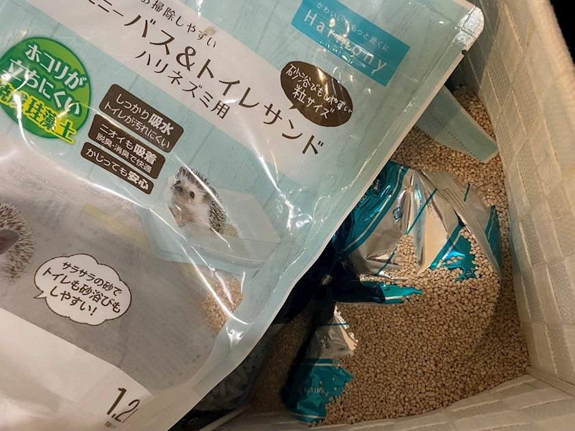 華宮 りりあ