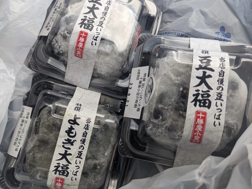 五条 椿