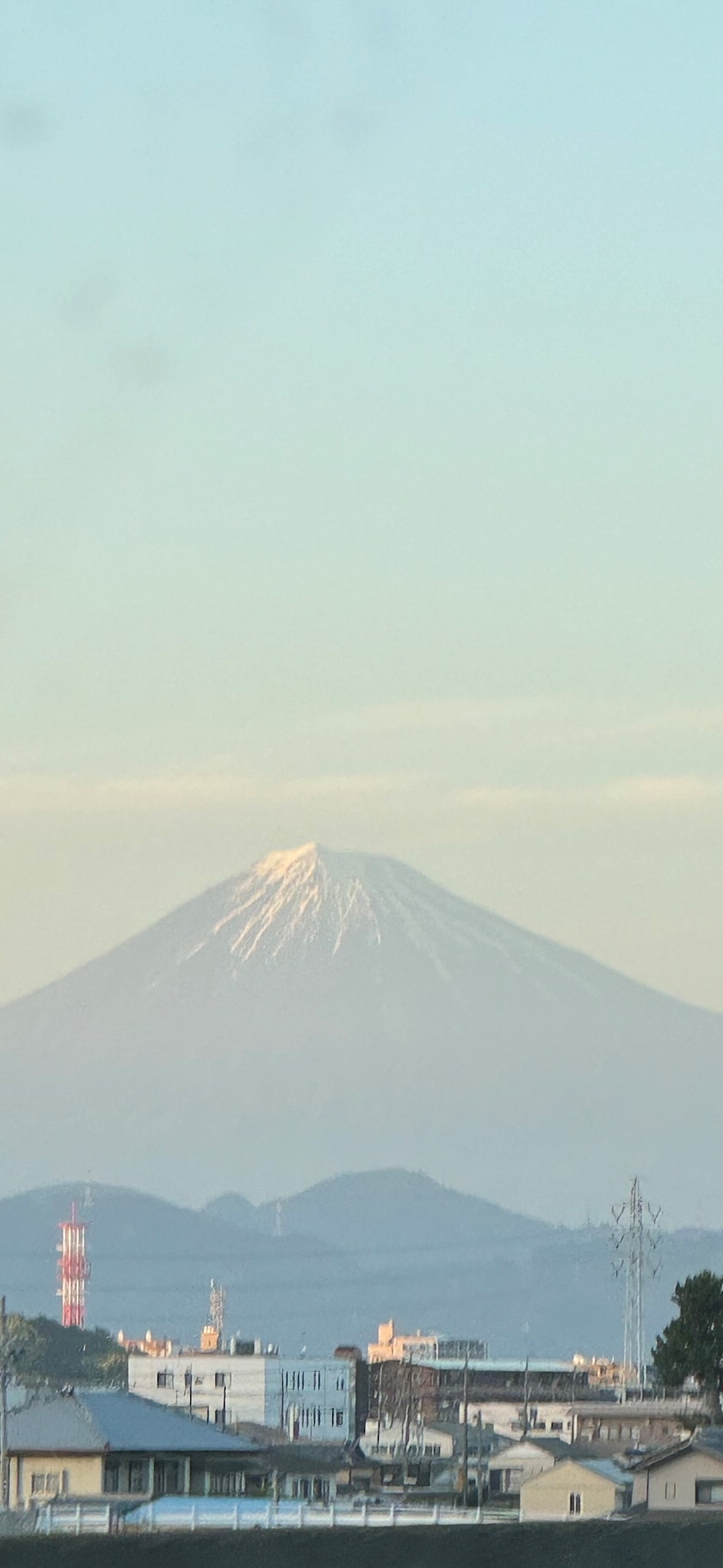 佐野 あみ