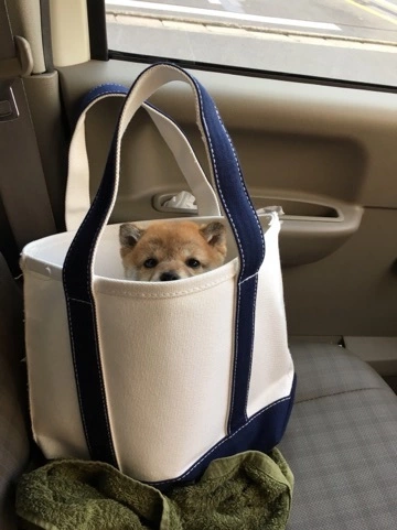 なな