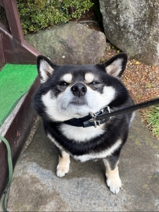 空条 しいな