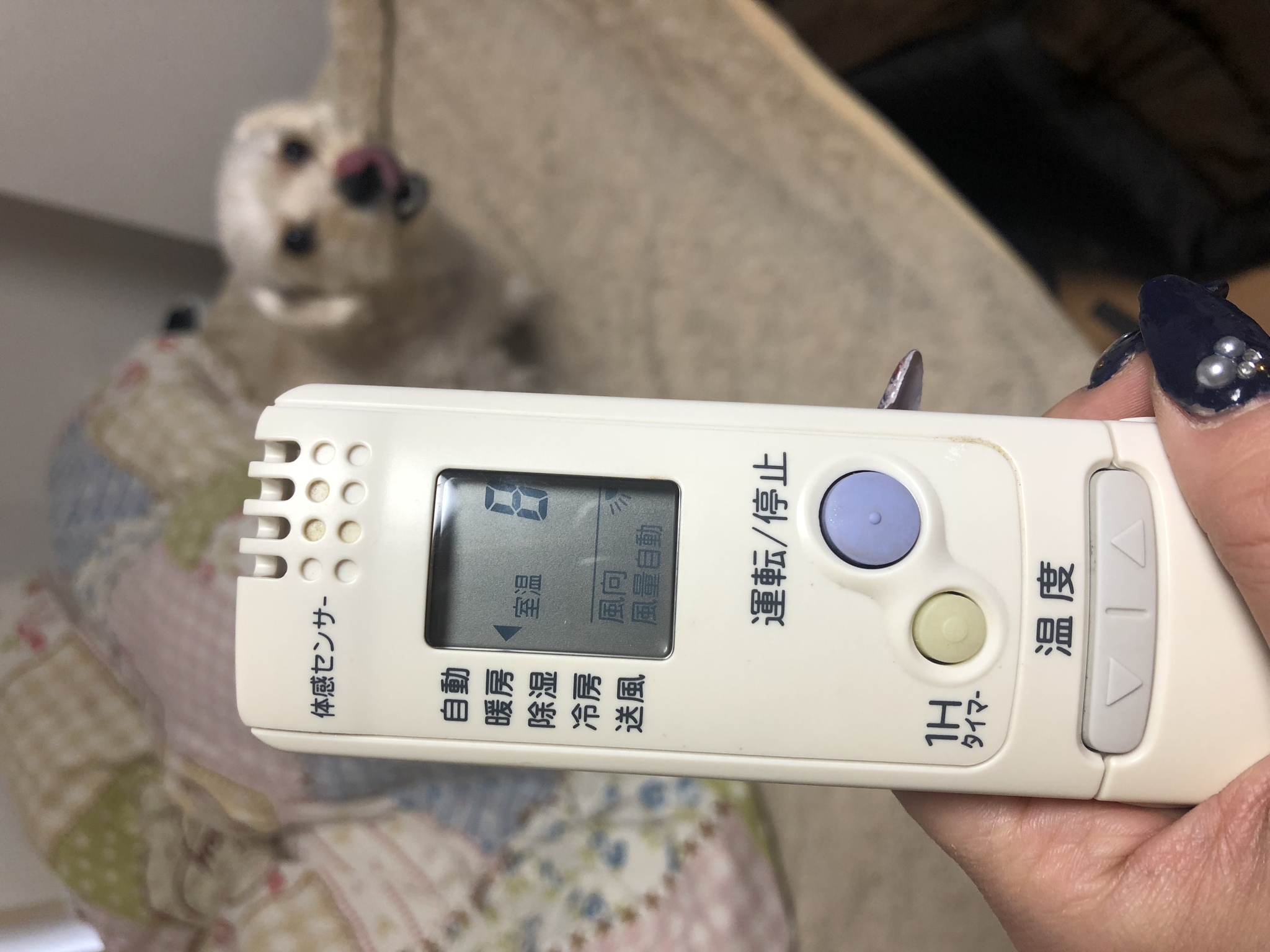 ここな