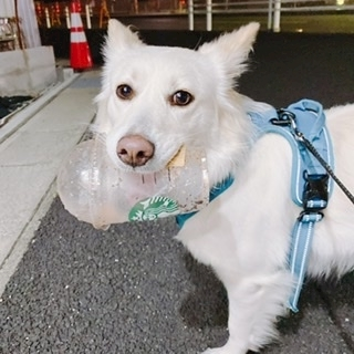 京 さゆみ