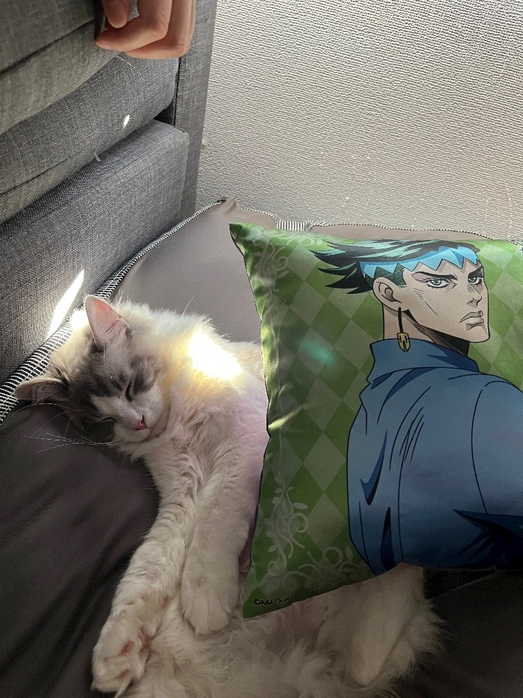 くま
