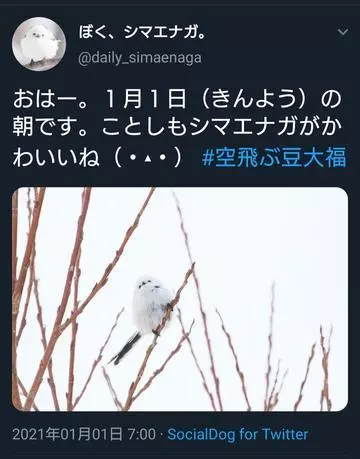 ひな