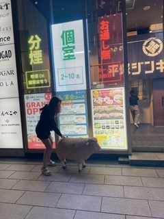 桐島 りゅう