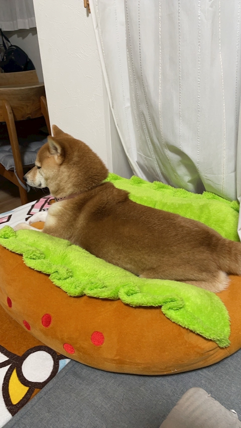 ツンデレかなの