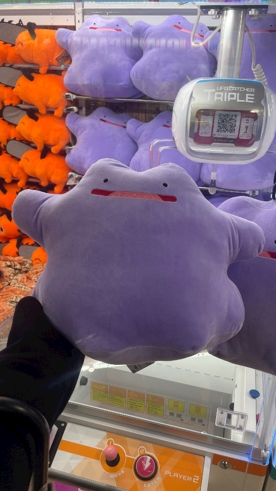 ひじり