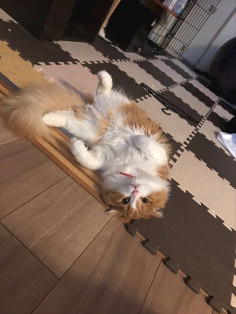 ナオ