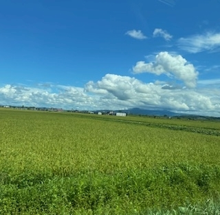 成海 まお