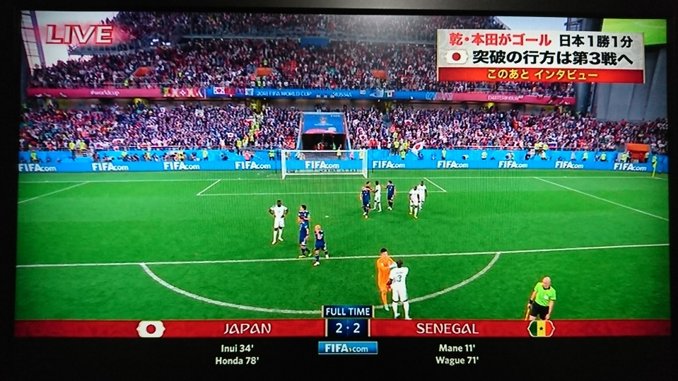 五条 椿