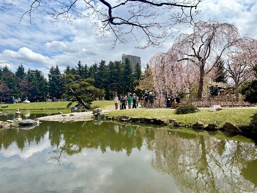 咲良 水月