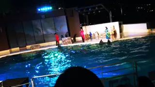 妃 えりか