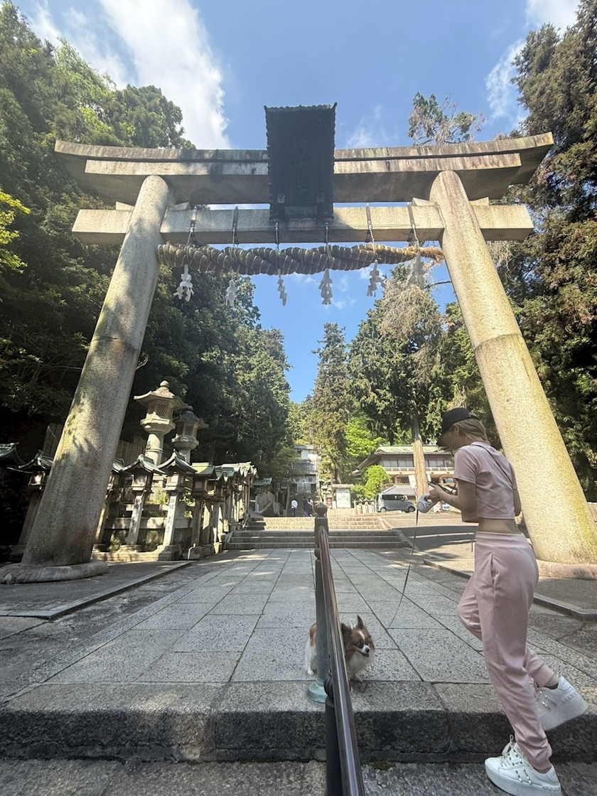 あいら