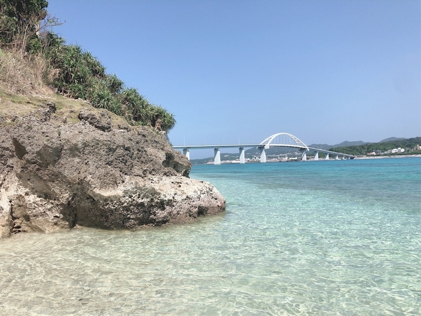 紗貴