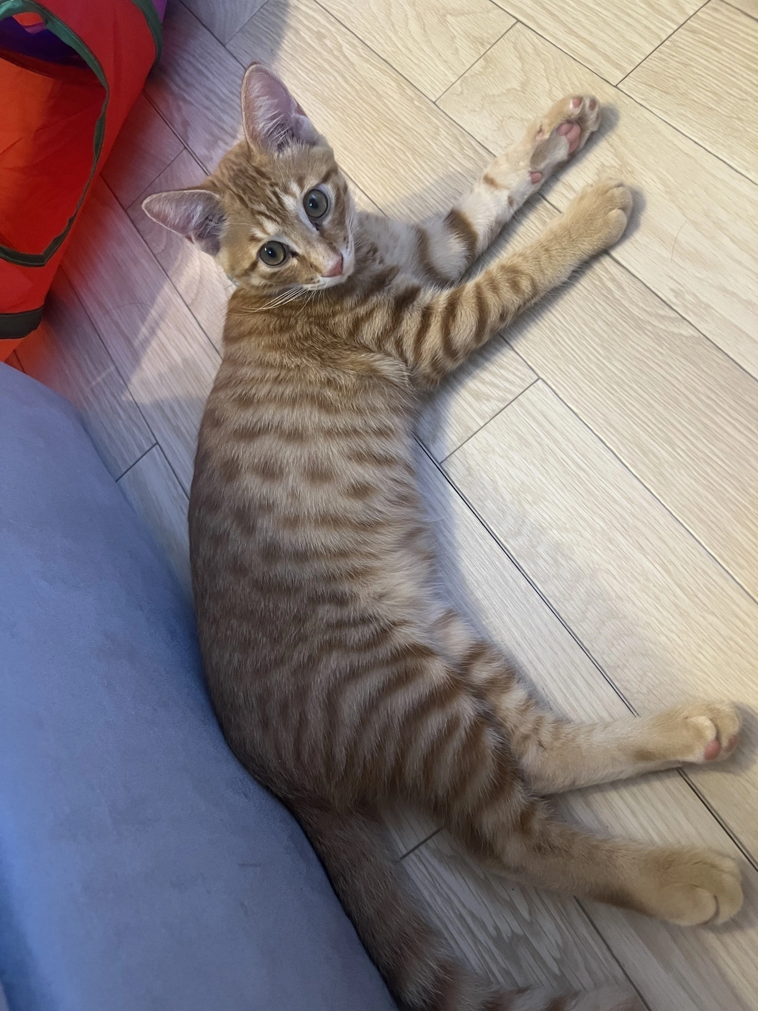 しおり
