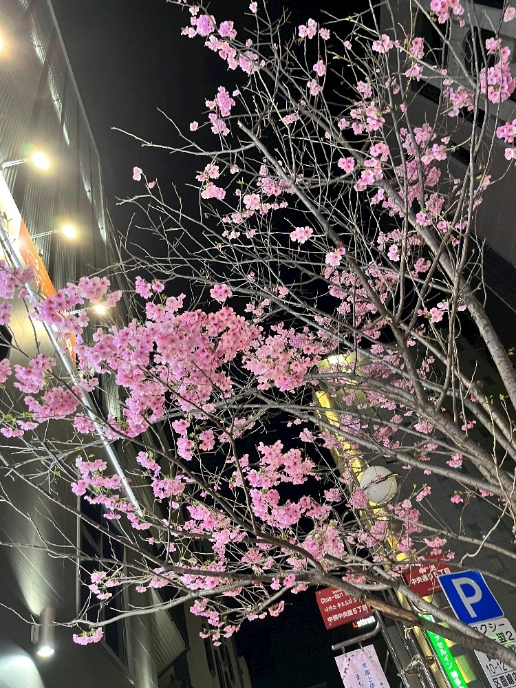愛叶 ゆうき