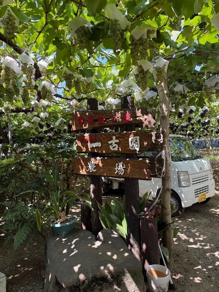 白間 あい