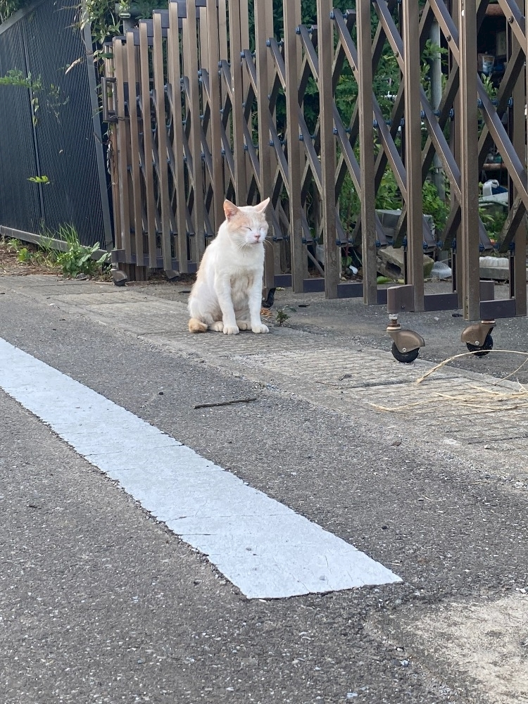 みづき