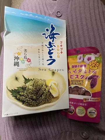 長瀬 純恋
