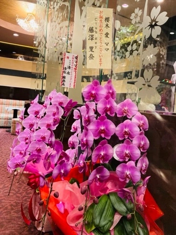 里奈
