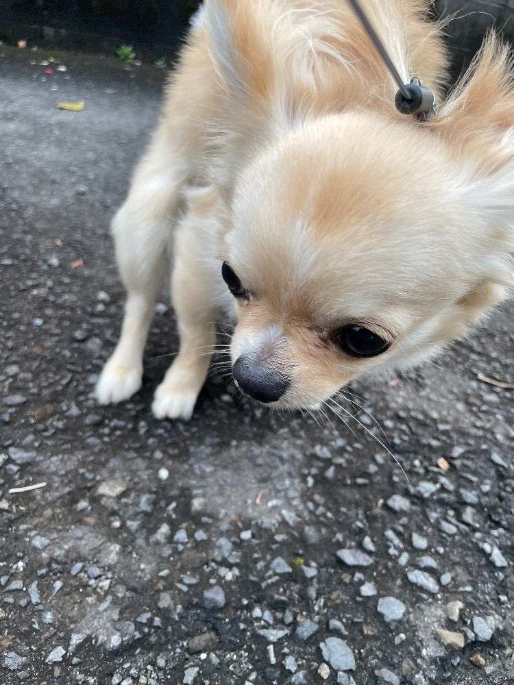 みらい
