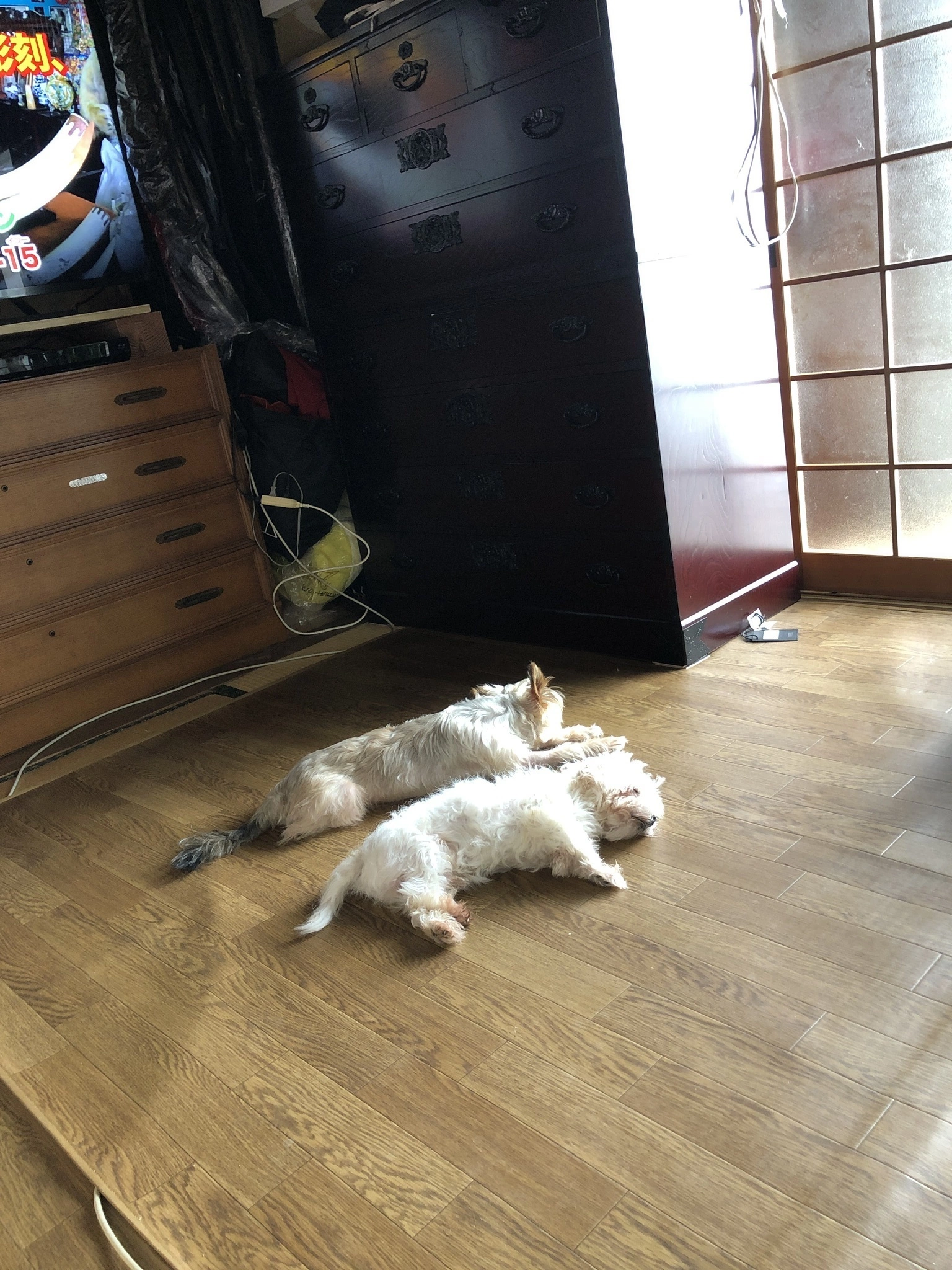 藤本 祐子ママ
