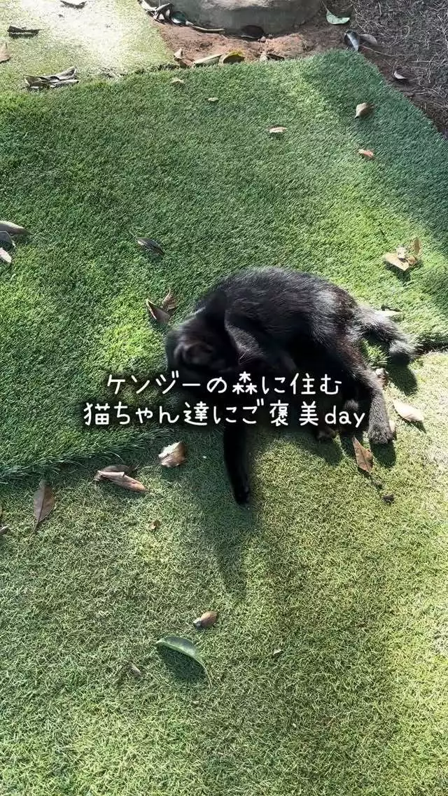 みこ