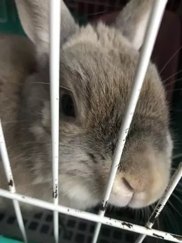 長瀬 純恋