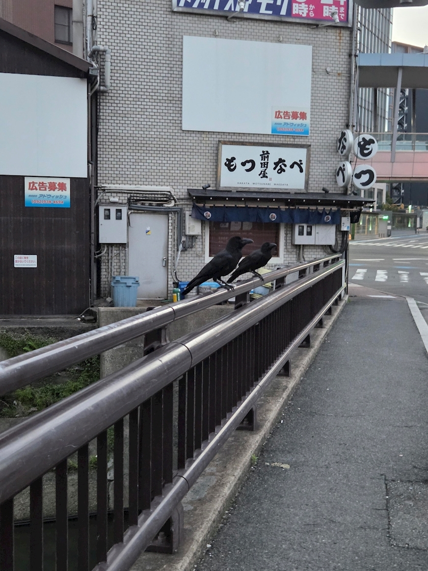 ほのか