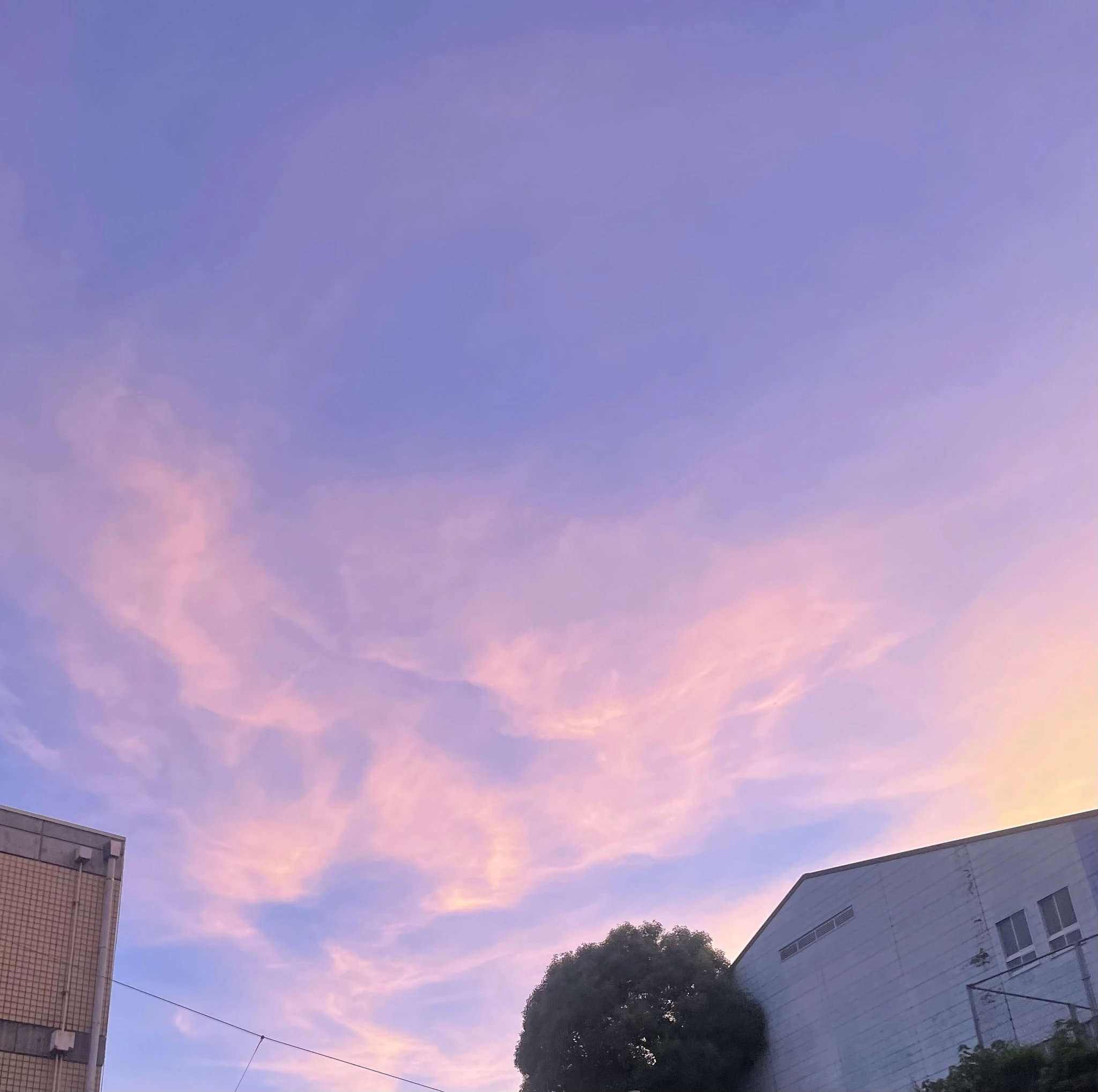 ゆき