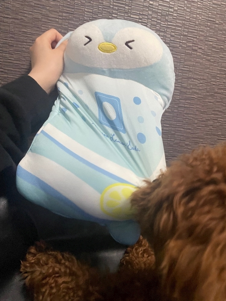 一ノ瀬 くるみ