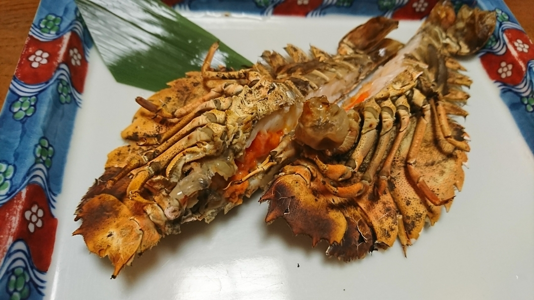 五条 椿