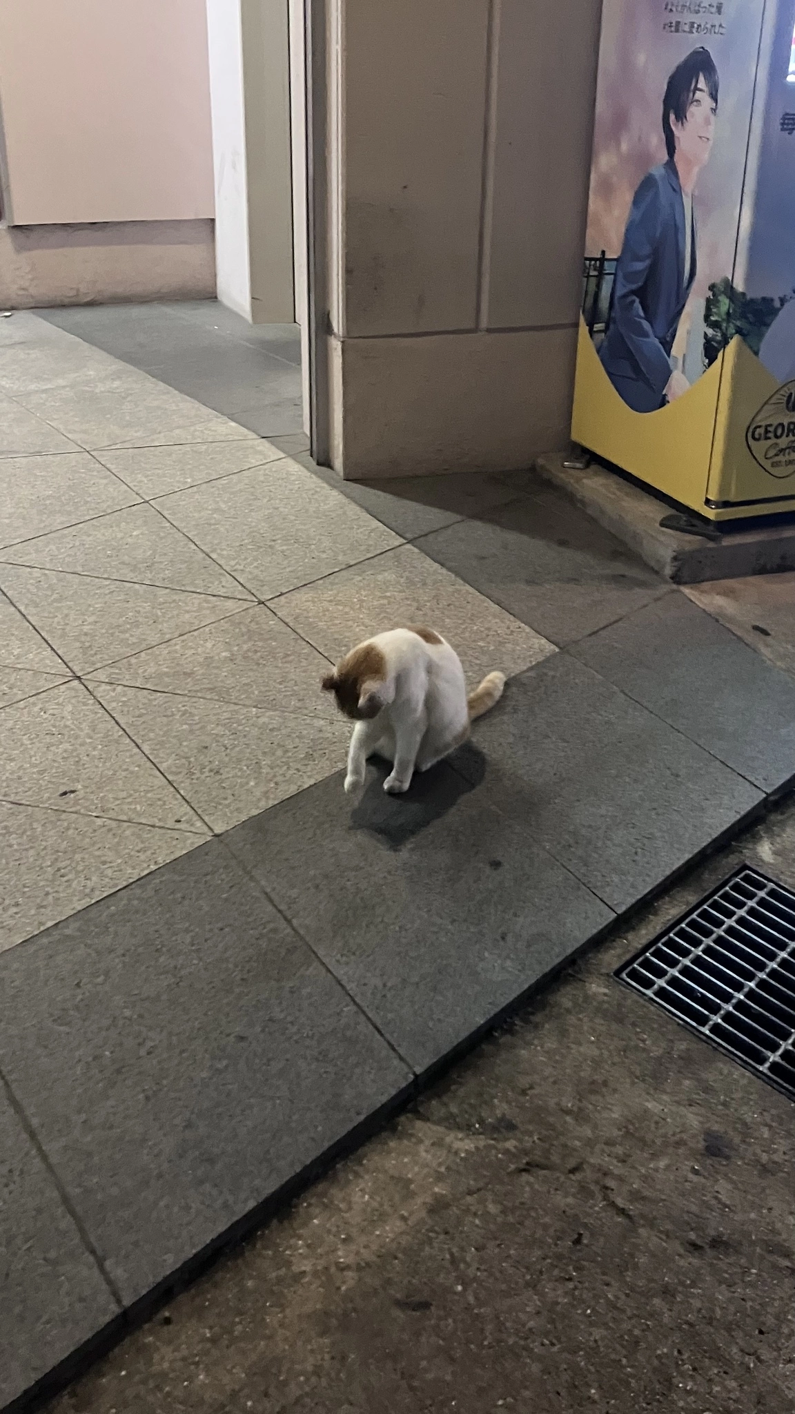 かずは